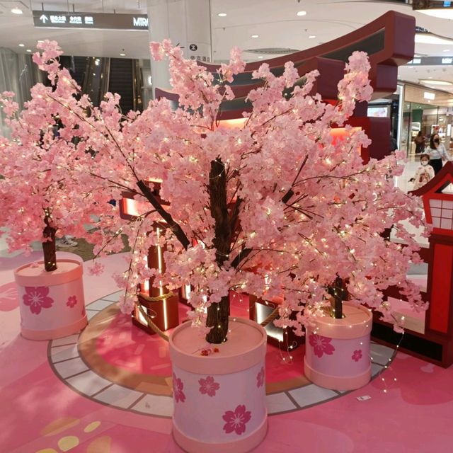 打卡 MOKO新世紀廣場 x Mr. Japin ☺️