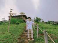 บ้านสวนดอยเปียงปุย  ดอยสกาด จ.น่าน