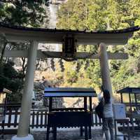 【和歌山】大迫力！間近で見られる大滝
