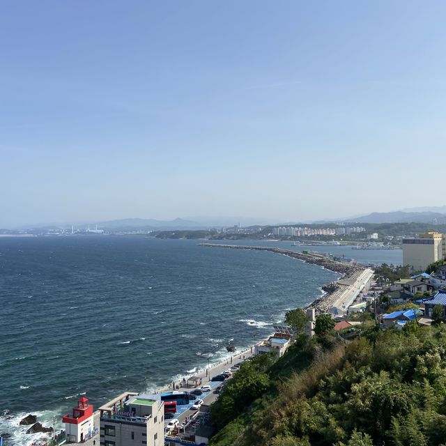 강원도 가볼만한곳 도째비골 스카이밸리