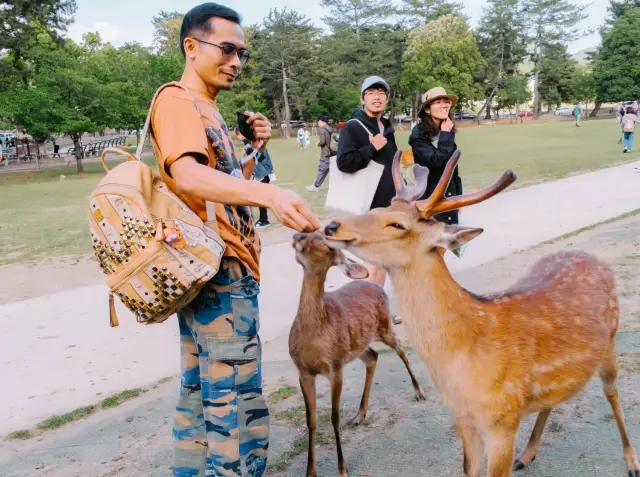 ❣️เที่ยว Nara Park : Todaiji temple วัดโทไดจิ