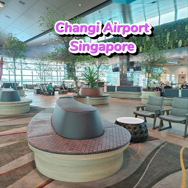 สนามบิน สิงคโปร์