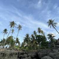 Coconut Garden in Ujong Kareung