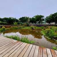 城市中的濕地生態公園