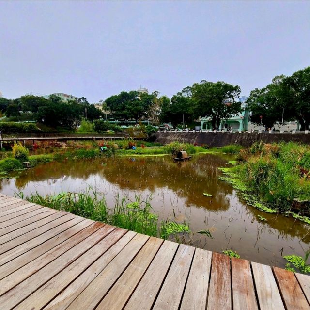 城市中的濕地生態公園