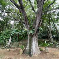 Nature's Bliss: Youth Park's Serene Delight