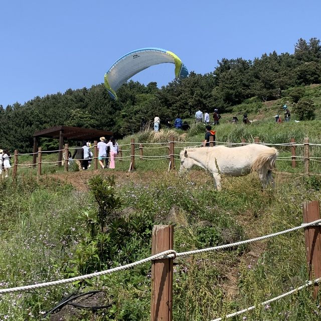 서우봉에서 보는 제주도 바다뷰 🏝️