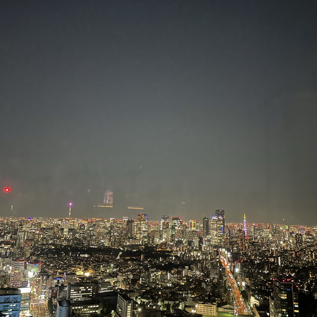 日本で1番の夜景が見渡せる場所