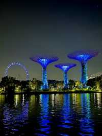 Stunning Supertrees at night✨