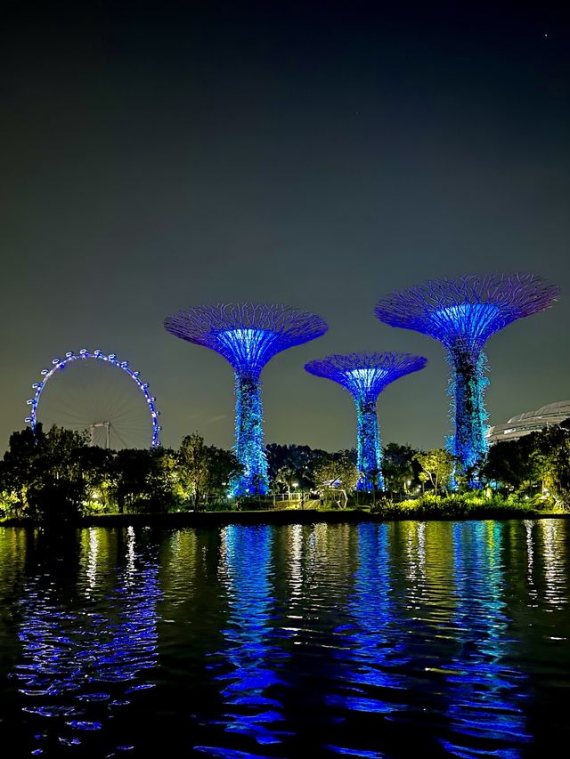 Stunning Supertrees at night✨