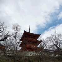 Kyoto's Serene Architectural Beauty & Nature