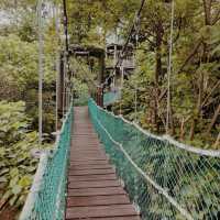 KL Forest Eco Park, Kuala Lumpur