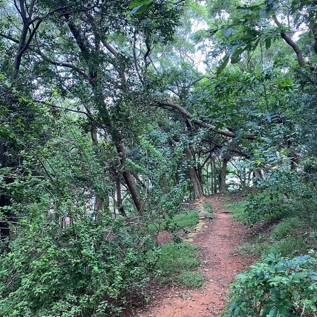 龜山步道⛰️
