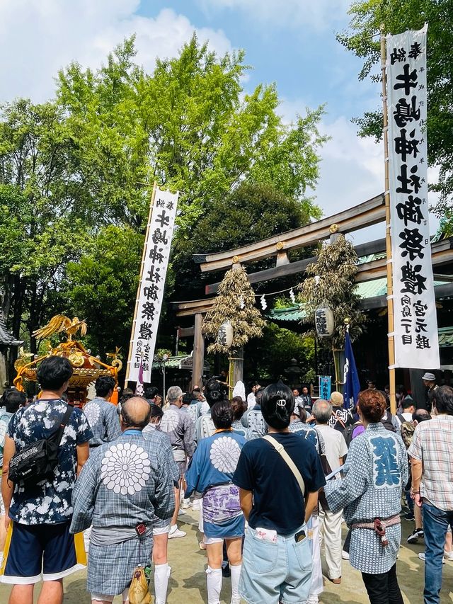 【東京都/牛嶋神社】大神輿 連合宮入渡御