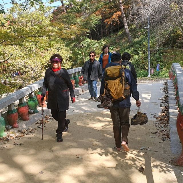 新楓葉團推薦💜剛泉山群立公園