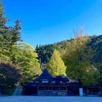 🌳 도심에서 벗어나 자연과 일체되어 산림욕을 즐길 수 있는 고란계곡을 방문해보세요! 💚