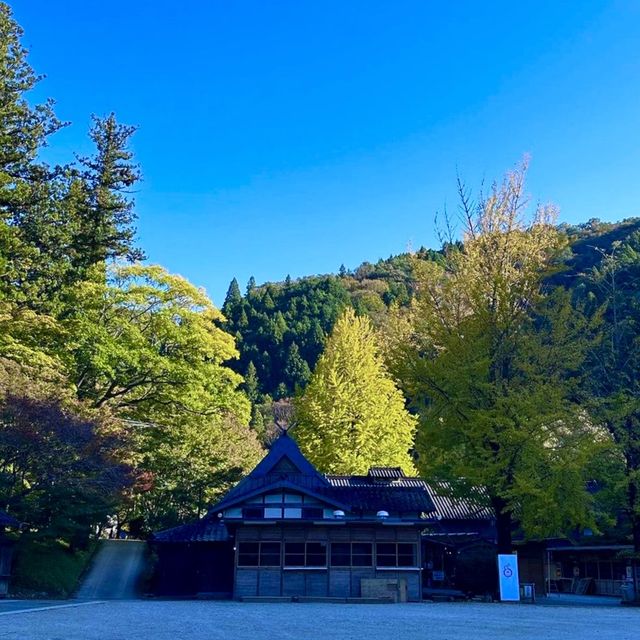 🌳 도심에서 벗어나 자연과 일체되어 산림욕을 즐길 수 있는 고란계곡을 방문해보세요! 💚