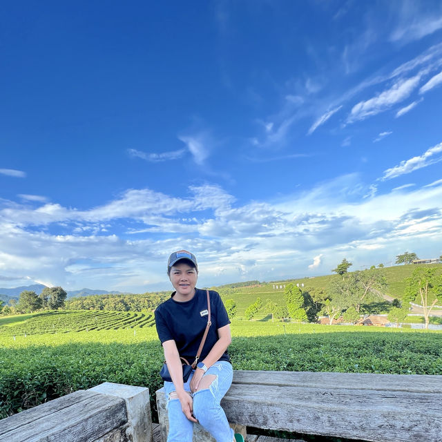 ไร่ชาฉุยฟง 🍃🌱🌿🍃