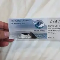 凱庫拉賞鯨遊船購票