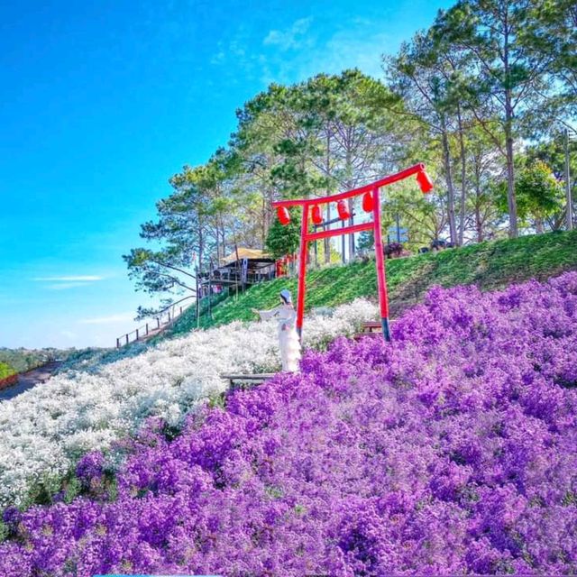 จุดเช็คอินแห่งใหม่เขาค้อ สวนดอกไม้&คาเฟ่🌸🌼