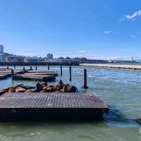 A Visit To Pier 39