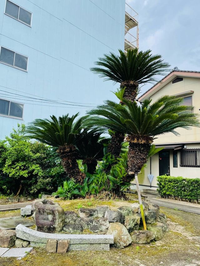 【島根県/出世稲荷神社】2023年行ってよかった！島根県の神社⑧