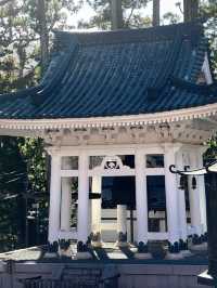 高野山：霊と自然の調和 🏞️🏯