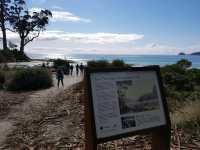 Sailing Through Time - Cape Bruny Lighthouse