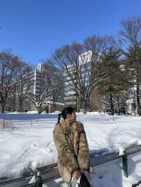 Sapporo's Snowy Charm ❄️🏙️