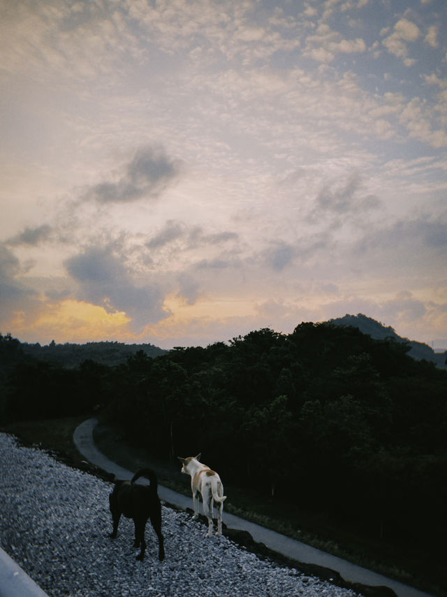 เที่ยวเขื่อนเชี่ยวหลานในข่วงปลายฝนต้นหนาวกัน