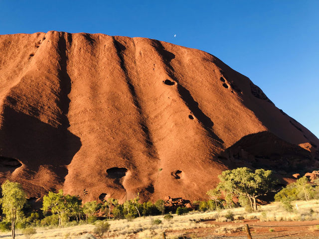 澳洲🇦🇺抵達夢想中的世界🪨🟤 Yulara