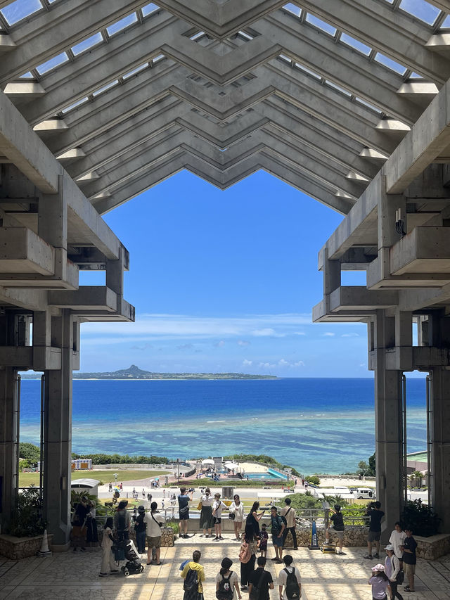 ✨ 全亞洲最大的「美麗海水族館」✨