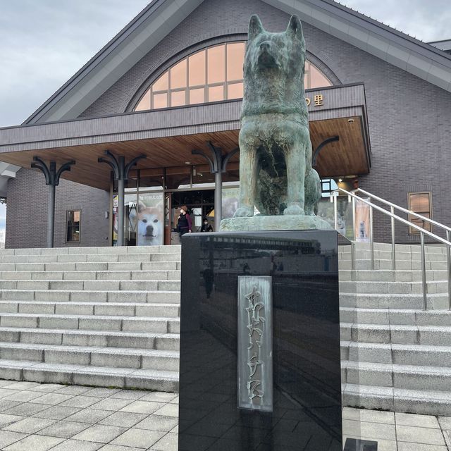 【忠犬ハチ公の街】秋田県 大館市観光交流施設 秋田犬の里