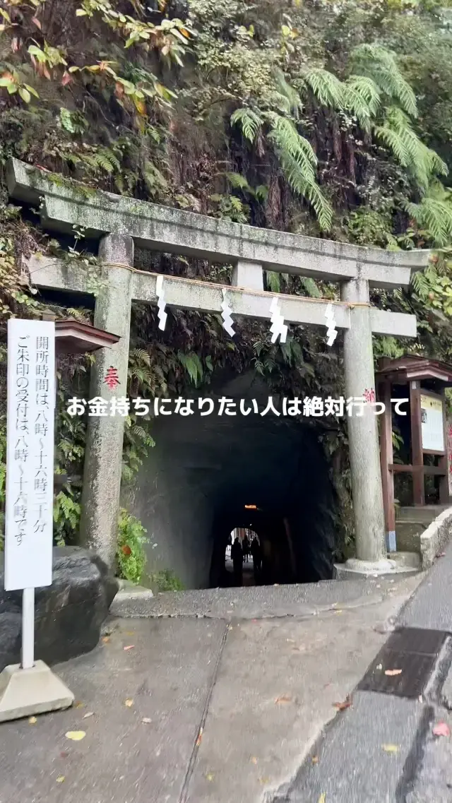 【鎌倉】金運爆上がりと話題！あの神社の正しい参拝