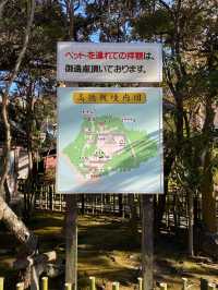 絶対行くべき鎌倉の大仏様