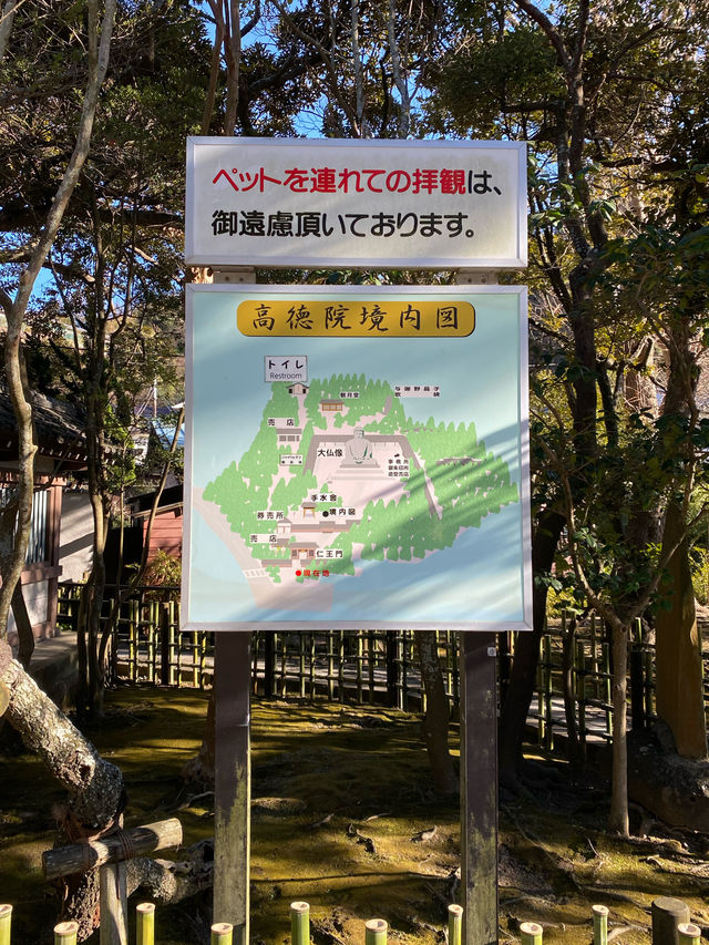 絶対行くべき鎌倉の大仏様
