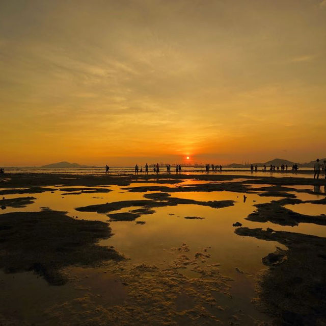 🌅流浮山下白泥：泥灘夕陽，日落打卡景點🌅