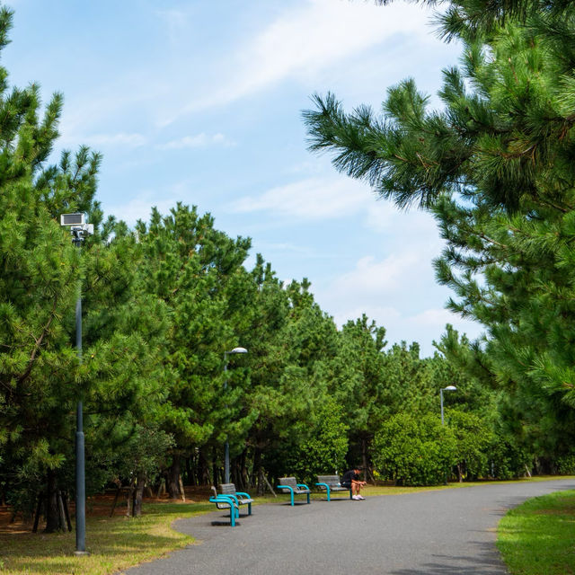 Urayasushi park