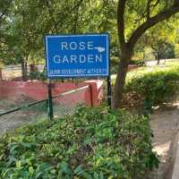 Rose 🌹 Garden Jaipur 
