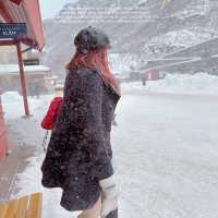 Norway in the nutshell รถไฟสายโรแมนติก