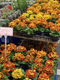 建國假日花市：花卉與玉器的亞洲最大市場 🌸🛍️