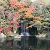 Himeji Park 🌿💐🌺