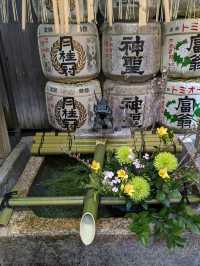 繁華街、唯一の神社【錦天満宮】の梅の花は、まだ八分咲きだけど綺麗だった