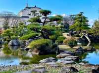 Quiet and peaceful well maintained Garden