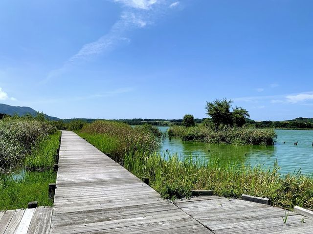 Sakata Park