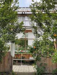 🍊 JINJU the orange farm - สวนส้มจินจู 🍊🧺🌳   🌳
