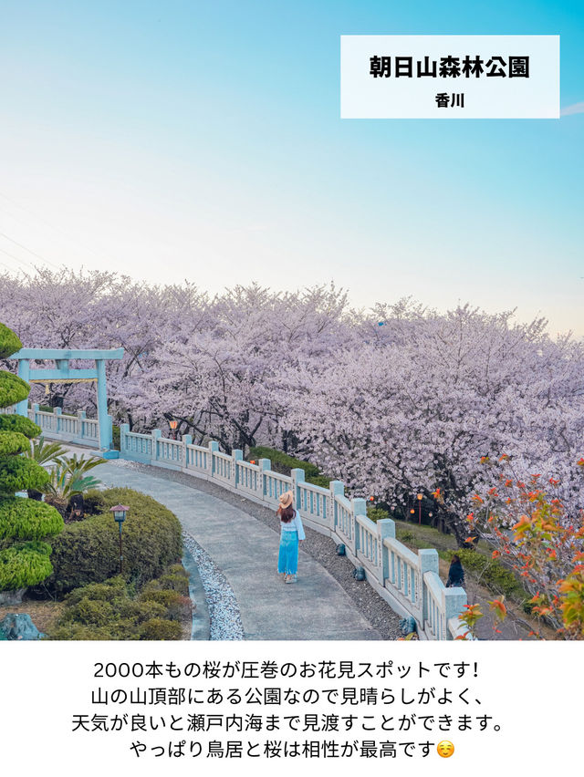 【日本の絶景】春休みからGWまで見頃あり！西日本のお花見おすすめスポット！