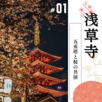🌸必見！都内の夜桜攻略！🌸