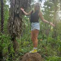 Kakadu Adventures 