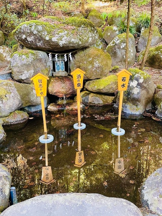 【日光二荒山神社・神苑/栃木県】縁結びスポット満載